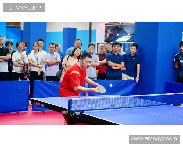 乒乓球专题：深入探讨杭州乒乓球队的团队协作与默契配合